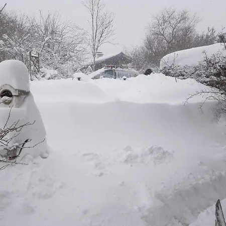 Holiday home Haus Paula Im Schoenen Grobming